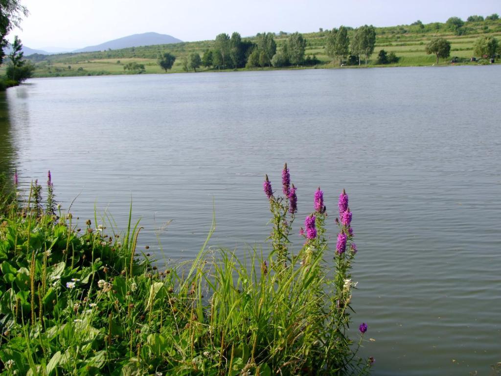 Rajna Vendégház Bogács Esterno foto